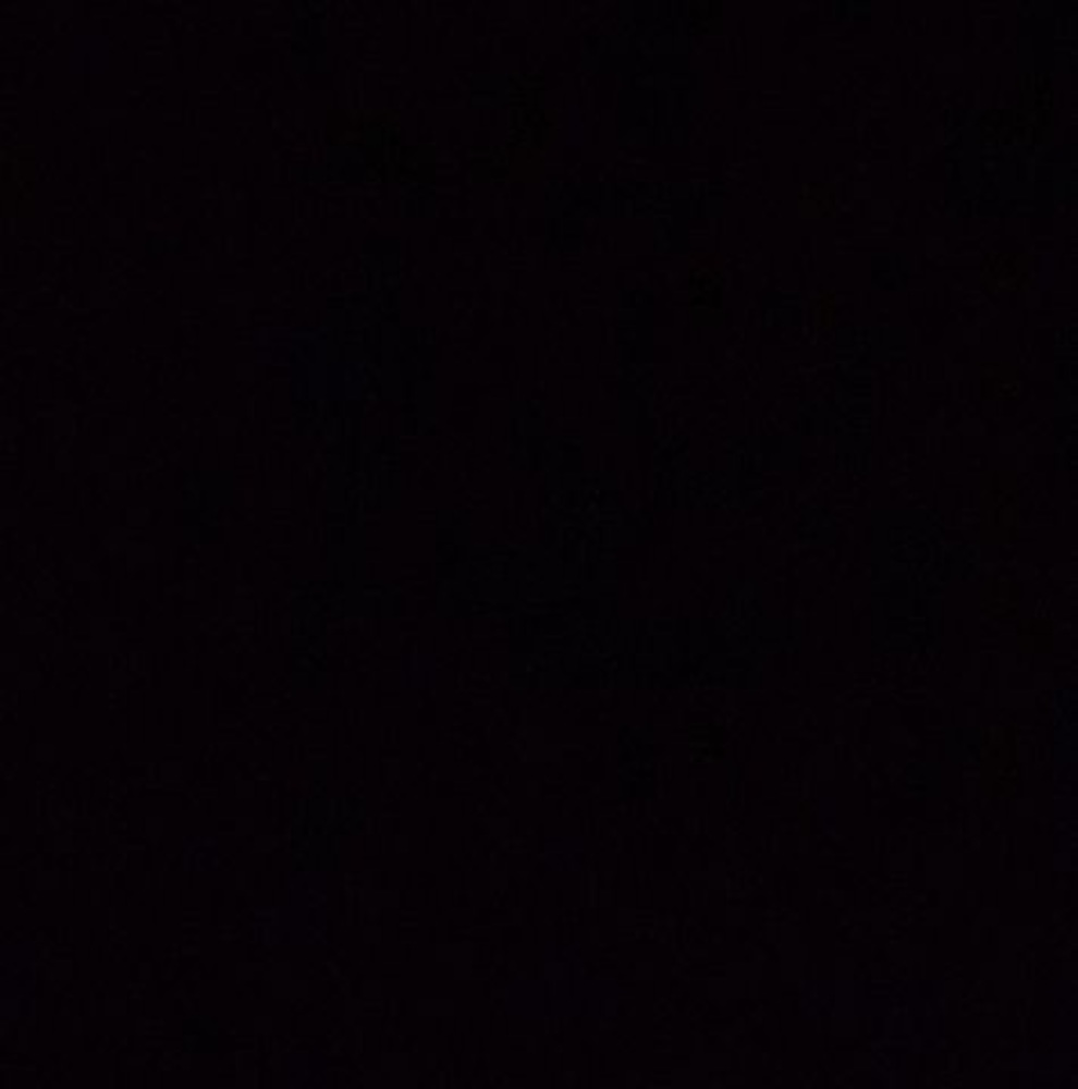 Meet your Posher, Trevor